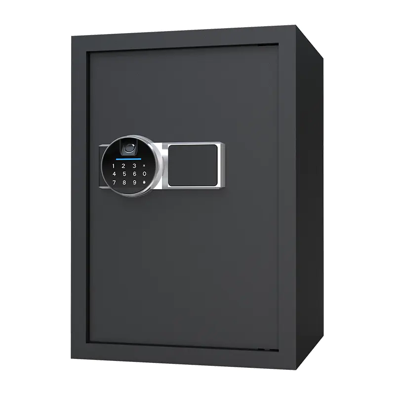 BS0150 48L Biometric Home Safe
